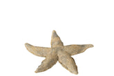 Zeester Polyresine Bruin/Goud Small - (40494)